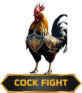 Jeetwin Cock fight