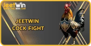 Jeetwin cock fight